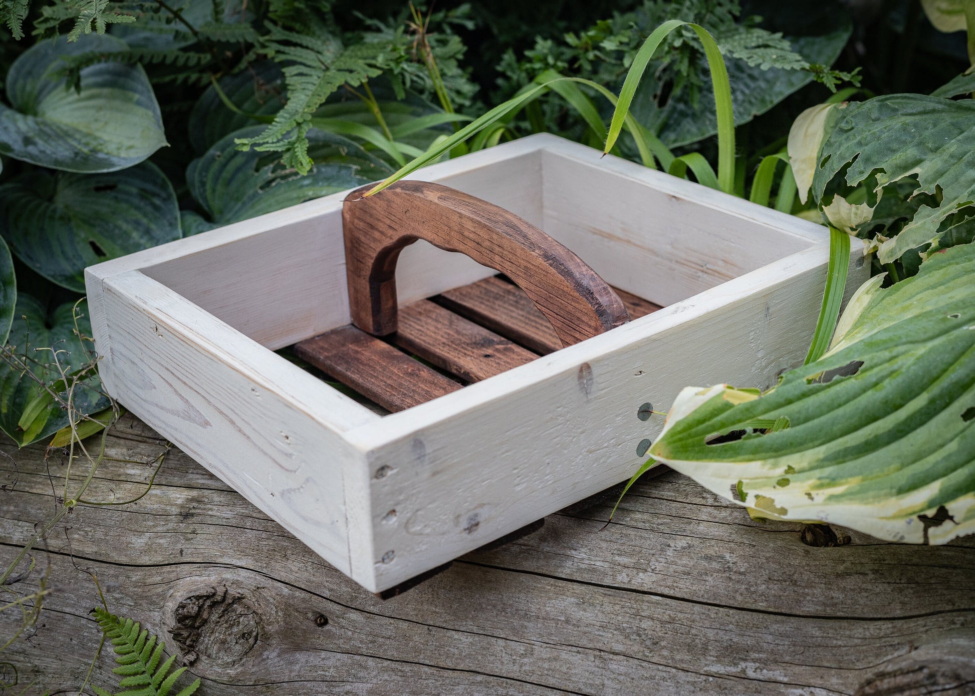 Rustic, painted, farmhouse style, antique, vintage, French style garden trug, basket or tray.