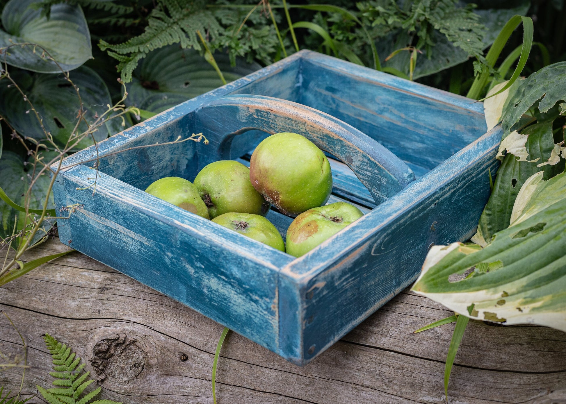 Rustic, painted, farmhouse style, antique, vintage, French style garden trug, basket or tray.