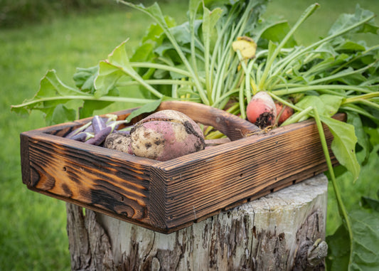 Rustic, painted, farmhouse style, antique, vintage, French style garden trug, basket or tray.