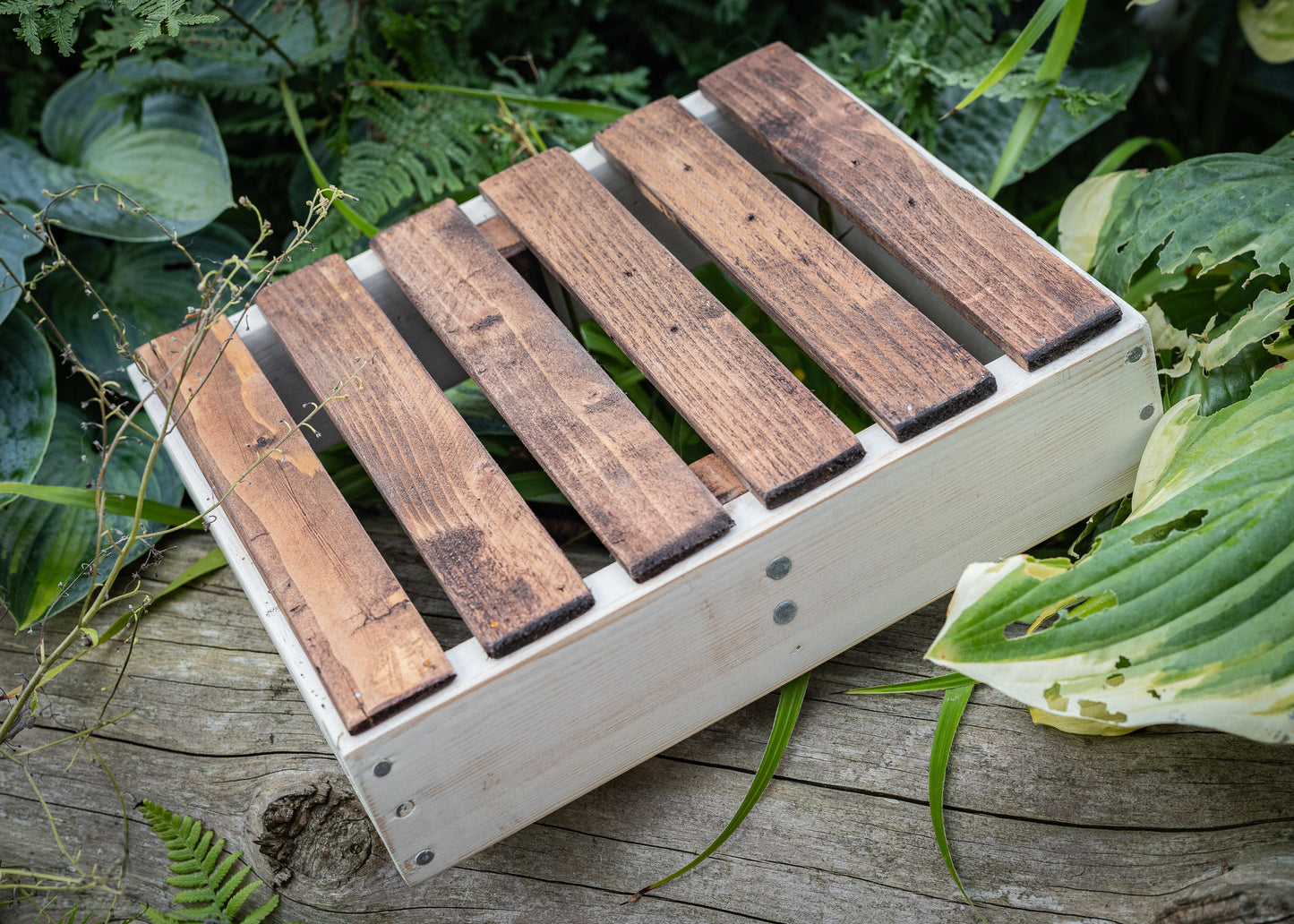 Rustic, painted, farmhouse style, antique, vintage, French style garden trug, basket or tray.